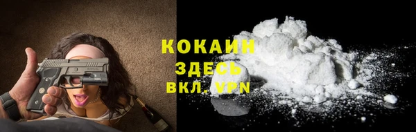 винт Михайлов